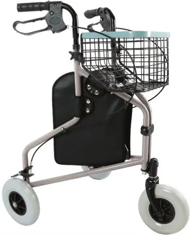Chodzik trzykołowy Barcelona RF-611/S
